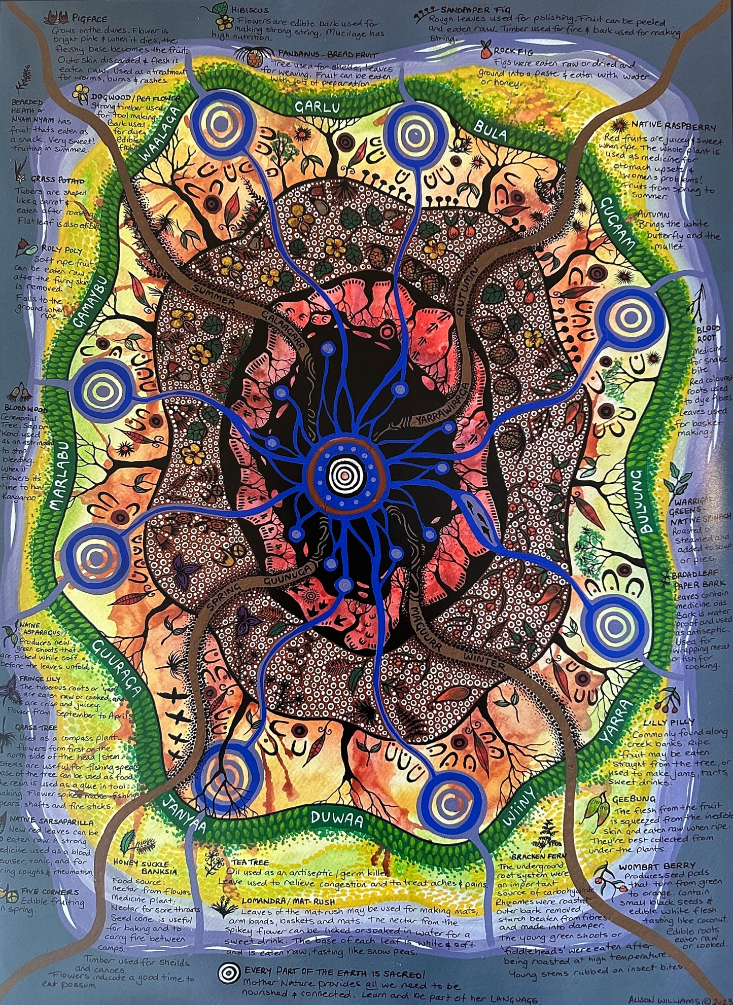 Seasonal Calendar - Prints