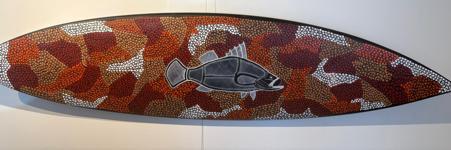 Barra in Finnis River Northern Territory