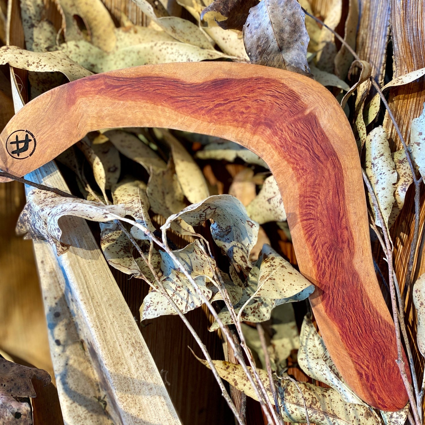 Returning Right-Handed Boomerang - Forest Oak