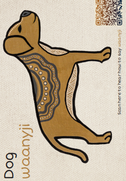  Magnets:  Yarn & Learn: Gumbaynggirr Animals