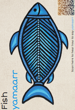  Magnets:  Yarn & Learn: Gumbaynggirr Animals