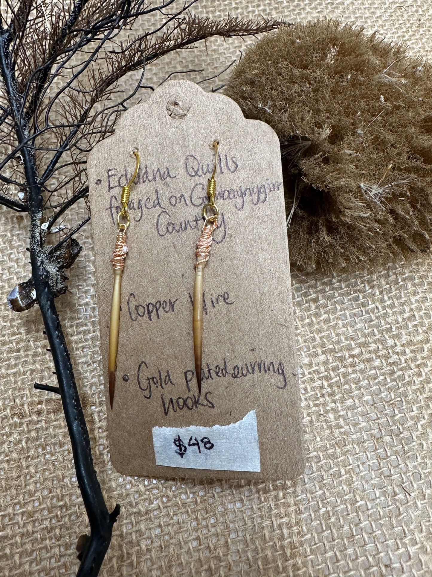 Echidna Quill Copper Earrings