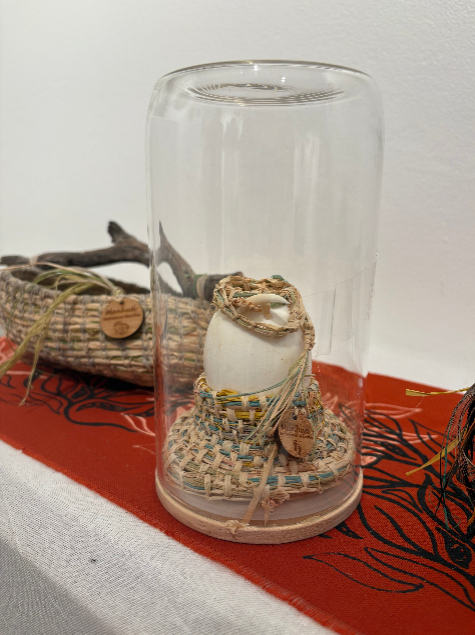 Saltwater Crocodile Egg