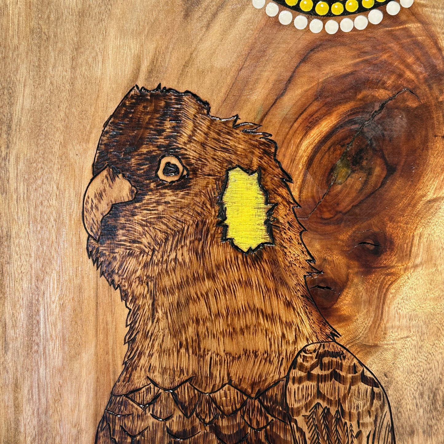 Yellow Tail Cockatoo