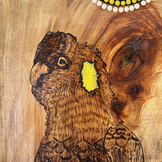 Yellow Tail Cockatoo