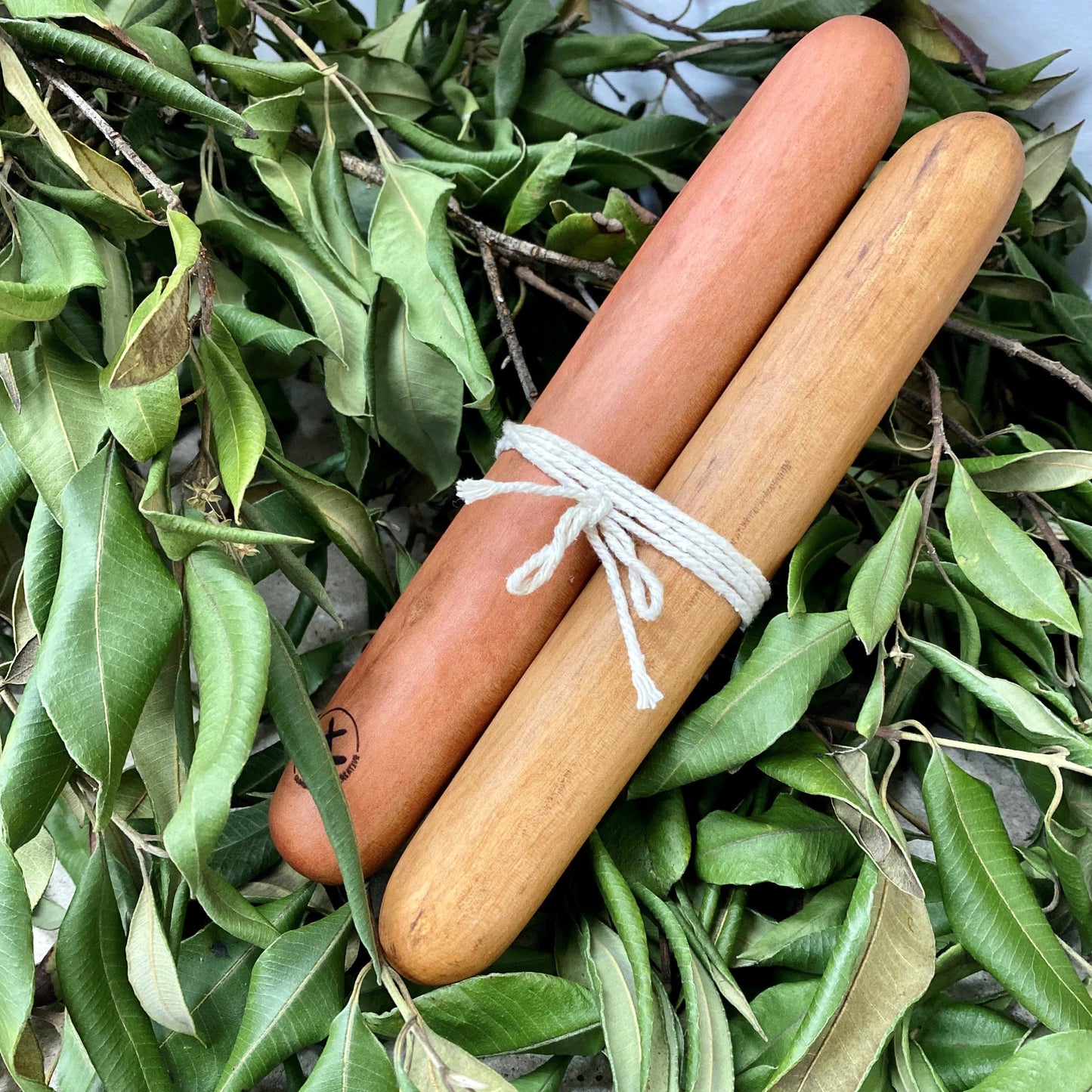 Waygarrga (Antarctic Beech) Clapsticks - Small