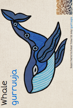  Magnets:  Yarn & Learn: Gumbaynggirr Animals